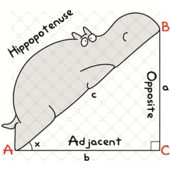 Hippopotenuse SVG, Trending Svg, Hippopotenuse, Hippo S