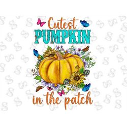 Cutest pumpkin in the patch PNG, Fall pumpkin sublimation designs downloads, Toddler Kids Halloween shirt clipart, Thank