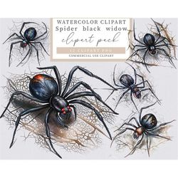 Spider black widow clipart, Watercolor spider clipart, Halloween clipart, Halloween png, Black widow clipart