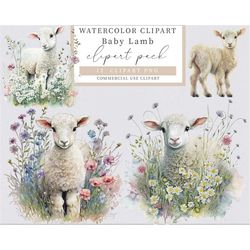 baby lamb clipart, easter clipart, animals clipart, animals png, baby animal clipart, lamb clipart, animals png, farm an