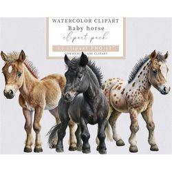 baby horse clipart, horse png, watercolor horse,  baby animals, farm baby animal clipart,  farm animals png  scrapbookin