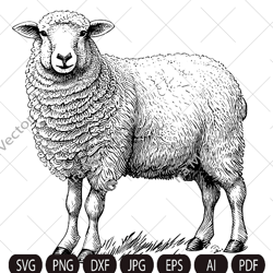 Cute sheep SVG, Sheep standing, Sheep Clipart, Sheep detailed, Sheep printable, Farm animals