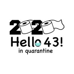 2020 hello 43 in quarantine svg, birthday svg, quarantine birthday svg, hello 43 svg, birthday 43 svg, 43th birthday svg