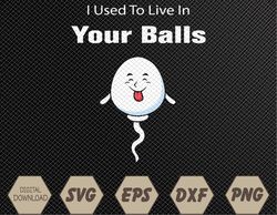 I Used To Live in Your Balls Funny, Silly Father's day Svg, Eps, Png, Dxf, Digital Download