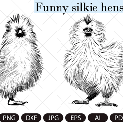 Silkie hen, Silk rooster,Silkie bird ,FUNNY SILKIE HEN Digital image, animal, bird, hen, cock