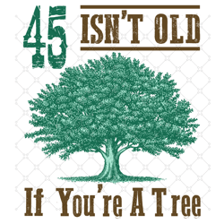 45 Isnt Old If You Are A Tree Svg, Birthday Svg, 4