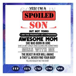 I am a spoiled son svg, Awesome mom she was born in June svg, mom born in June svg, Birthday svg, Mothers day svg, mothe