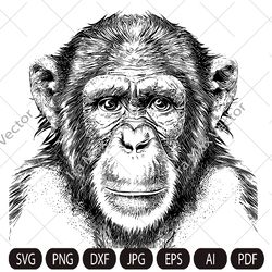 MONKEY Face svg / Monkey Head svg / Monkey svg / Monkey King svg / Monkey Mascot svg /Monkey detailed/ Monkey Printable
