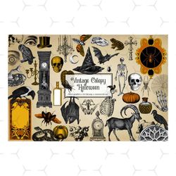 Vintage Creepy Halloween Clipart Graphic, Set Halloween Png and Clip art for Kids Includes Bats, skulls, skeletons, pump
