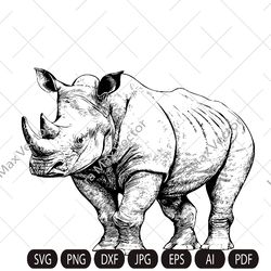 Rhino Svg, Rhino Clipart, Rhino detailed, Rhino Head, Rhino Cut Files , Rhino Silhouette, Animals Silhouette