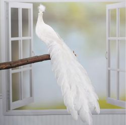 White Closed Tail Feathered Artificial Peacock