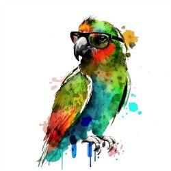 Parrot PNG sublimation design -Parrot wearing summer sunglass instant digital downloads
