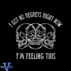 I Got No Regrets Right Now Blink 182 SVG Graphic Design File