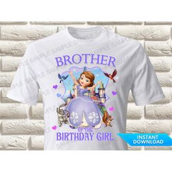 Sofia the First Brother of the Birthday Girl Iron On Transfer, Sofia the First Iron On Transfer Sofia the First Birthday
