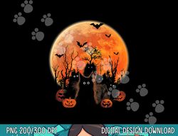black cats moon pumpkin  halloween horror s  copy