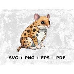 Cartoon Spotted Quoll Svg Png Eps, Commercial use Clipart Vector Graphics for Wall Art, Tshirts, Sublimation, Print on D