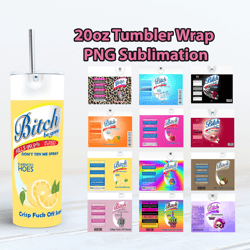 12 color Bitch Be Gone DIGITAL PNG, Bitch Spray Tumbler Bundle, 20oz Skinny Tumbler Wrap Design, Tumbler Sublimation PNG