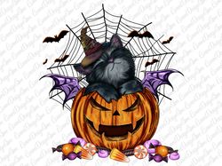 Halloween Black Cat Pumpkin PNG Sublimation Design,Baby Cat With Pumpkin Halloween Png File, Pumpkin Spooky Season Png,