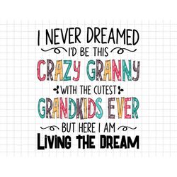 Mother's Day Svg, Crazy Granny Svg, I Never Dreamed I'd Be This Crazy Granny Svg, Mom Life, Motherhood Svg