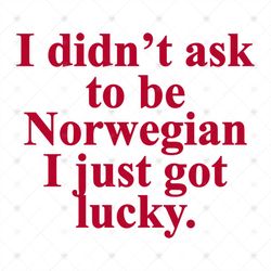 I Didnt Said To Be Norwegian, I Just Got Lucky, Norwegian, lucky, american, digital file, vinyl for cricut, svg cut file