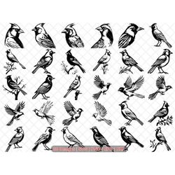 Cardinal Bird | Northern, Pyrrhuloxia, Vermilion| PNG, SVG,  Dxf. Cricut, Silhouette, Printables, Engrave, Stencil, Stic