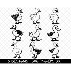 Cute Baby Goose Duckling Hatch Adorable Chick Waterfowl Wild Bird SVG,DXF,Eps,PNG,Cricut,Silhouette,Cut,Laser,Stencil,St