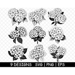 Hydrangea Flower Bloom Garden Shrub Hortensia Floral PNG,SVG,EPS,Cricut,Silhouette,Cut,Engrave,Stencil,Sticker,Decal,Vec