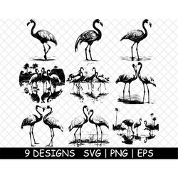 Flamingo Tropical Pink Brid Long-legged Exotic | PNG,SVG, EPS  Cricut, Silhouette, Cut, Engrave-Stencil-Stickers,Decals,