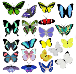 This butterfly bundle comes with 20 different colored butterflies.