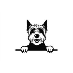 PEEKING WEST HIGHLAND Terrier Svg, Peeking West Highland Terrier Svg Files For Cricut