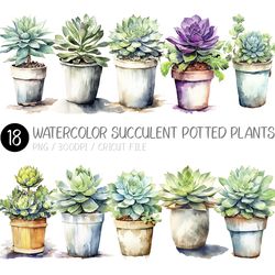 Watercolor Succulent Potted Plants PNG | Mini Pot, Aloe, Clipart, Agave, Boho, Flower, Design