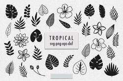 Tropical leaves svg bundle|Tropical clipart|Tropical flower
