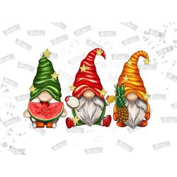 Gnomes Watermelon Coconut Mango Pineapple Png, Summer Gnomes Png Sublimation Design, Cute Gnomes Png, Hand Drawn Gnomes
