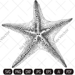 Starfish SVG, Starfish detailed, Sea animal SVG, Aquatic SVG, Sea svg, Ocean svg, Summer svg, ocean clipart