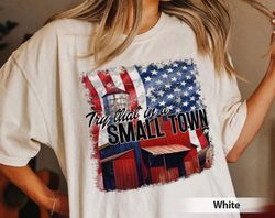 Try That In A Small Town Comfort Colors Shirt, Jason Aldean Shirt, The Alde