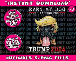 Boxer Dog Even My Dog Is Waiting For Trump 2024 Png Bundle, Trending Png, Popular Printable