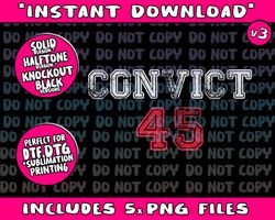 Convict 45 No One Man or Woman Is Above The Law Anti Trump Png Bundle, Trending Png, Popular Printable
