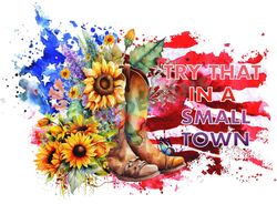 Try That In A Small Town Boots PNG