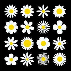 White Daisy Chamomile Icon Bundle Svg, Flower Svg, White Daisy Svg, Chamomile Svg, Birthday Gift Svg, Gift For Girl Svg,