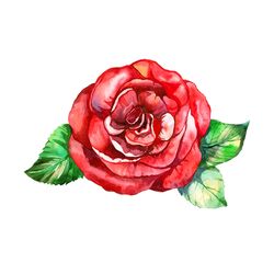 Watercolor Red Rose Svg, Flower Svg, Red Rose Svg, Rose Svg, Birthday Gift Svg, Gift For Girl Svg, Flower Lovers Svg, Fl