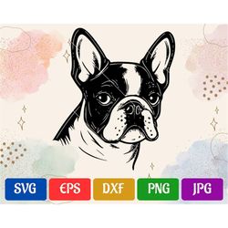 French Bulldog | svg - eps - dxf - png - jpg | High-Quality Vector | Silhouette Cameo | Cricut Explore