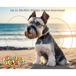 Miniature Schnauzer Dog at the beach sublimation portrait digital download illustration 36 x 36 inch
