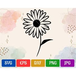 Daisy | svg - eps - dxf - png - jpg | Black and White Vector | Silhouette Cameo | Cricut Explore