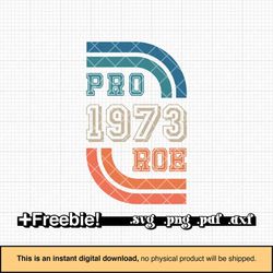 Pro roe 1973 rainbow svg, png, retro design, pro choice svg, reproductive rights, womens rights svg, pro abortion svg, r