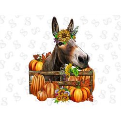 Donkey With Sunflowers And Pumpkin Png Sublimation Design, Donkey Png,Farm Animals Png, Farm Png,Farm Donkey Png,Animal