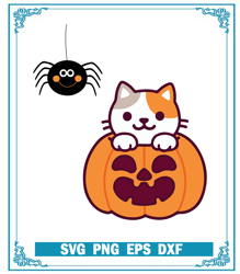 Cat in Pumpkin Halloween SVG,  Cute Cat Pumpkin Spider SVG, Best For Halloween SVG