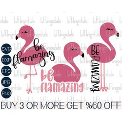 Cute Flamingo SVG Bundle, Be Flamazing SVG, Baby Pink Flamingo, Funny Girl Shirts, Png, Svg Files For Cricut, Sublimatio
