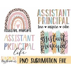 Assistant principal sublimation PNG, Assistant principal Bundle sublimation file, Teaching shirt PNG design, Sublimation