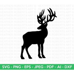 Deer Silhouette Svg, Deer SVG, Deer Silhouette, Buck SVG, Animal Silhouette SVG, Antlers Svg, Cricut Cut File, Silhouett