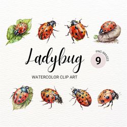 Watercolor Ladybug Clipart | Insect Clipart | Junk Journal | Flower Clipart | Digital Planner | Kawaii Clipart Bundle |